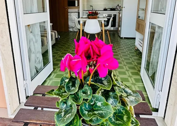 Apartment Giulia - Palazzo Milano